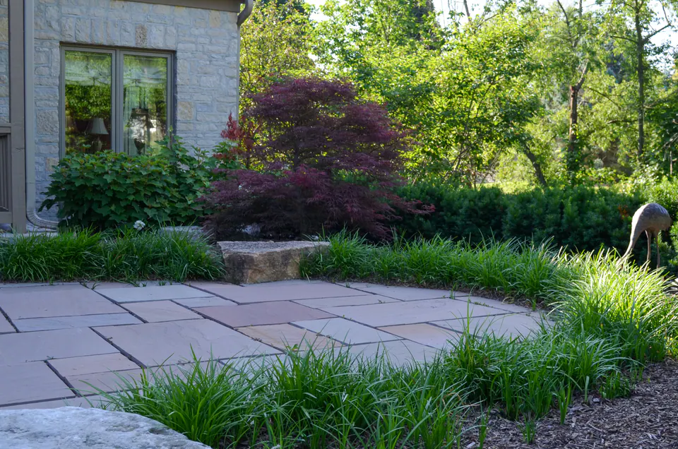 House-side paver patio with planting beds, ornamental grasses, Japanese maple, shrubs, and wooded lawn view.